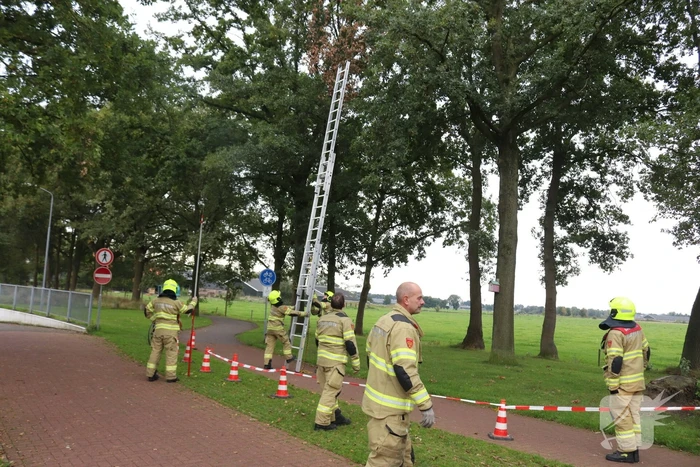 Gevaarlijke tak onbereikbaar door te korte ladder