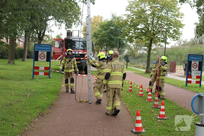 Gevaarlijke tak onbereikbaar door te korte ladder