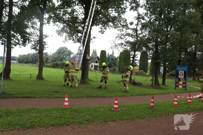 Gevaarlijke tak onbereikbaar door te korte ladder