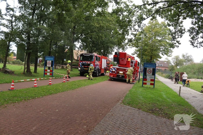 Gevaarlijke tak onbereikbaar door te korte ladder