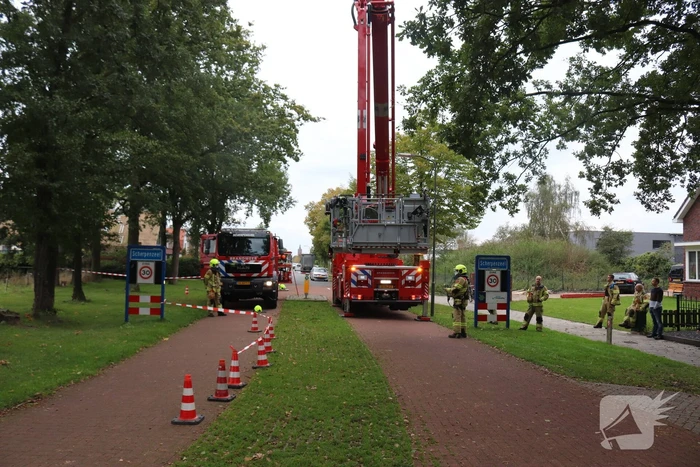 Gevaarlijke tak onbereikbaar door te korte ladder