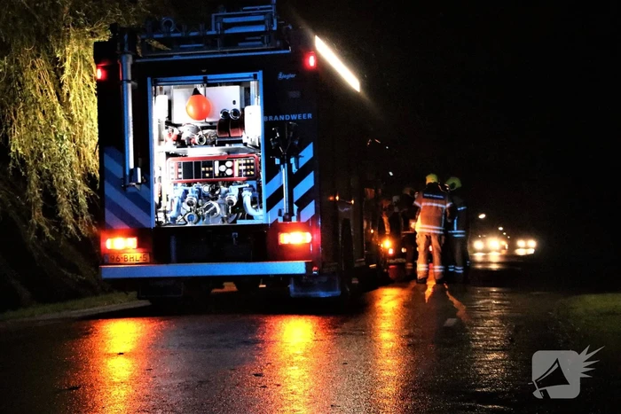Automobilist verliest macht over het stuur en raakt boom
