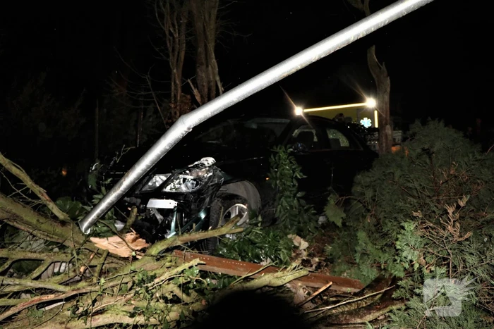 Automobilist verliest macht over het stuur en raakt boom