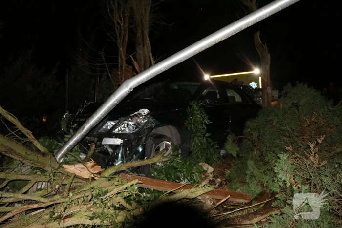 Automobilist verliest macht over het stuur en raakt boom