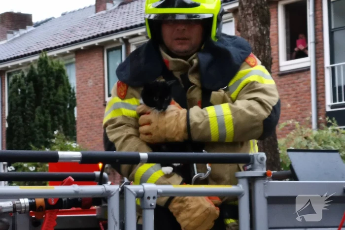nieuws johannes bosboomlaan ede