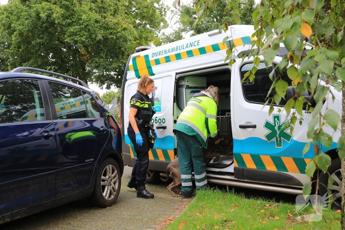 Politie ramt deur in en vindt overleden persoon