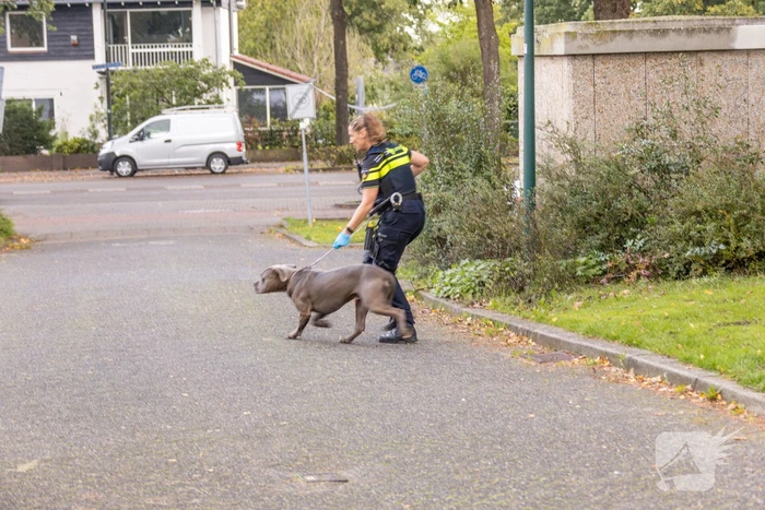 Politie ramt deur in en vindt overleden persoon
