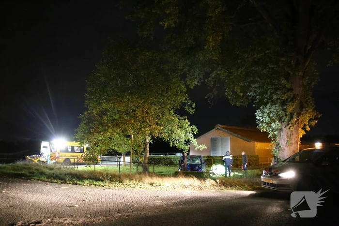 Automobilist verliest macht over het stuur en raakt boom