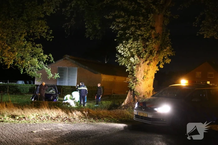 Automobilist verliest macht over het stuur en raakt boom