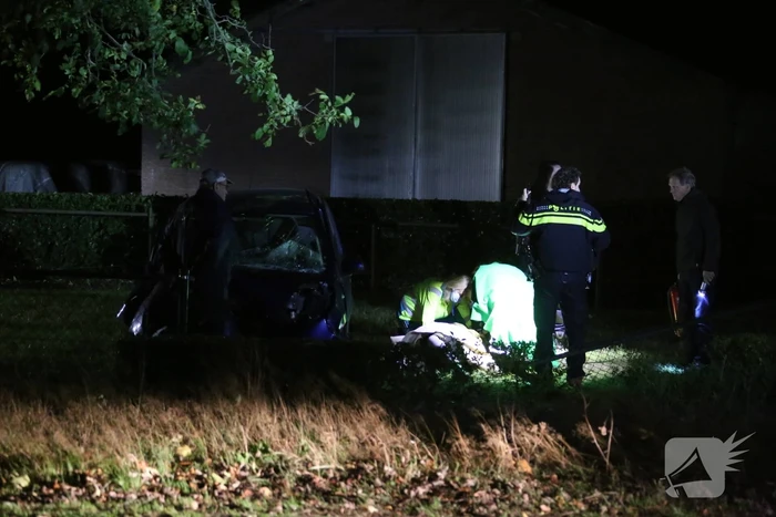 Automobilist verliest macht over het stuur en raakt boom