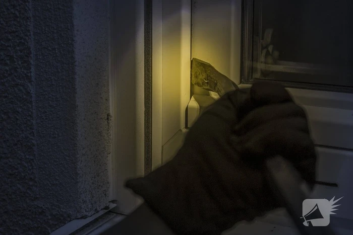 Inbrekers vluchten huis uit nadat bewoners thuiskomen