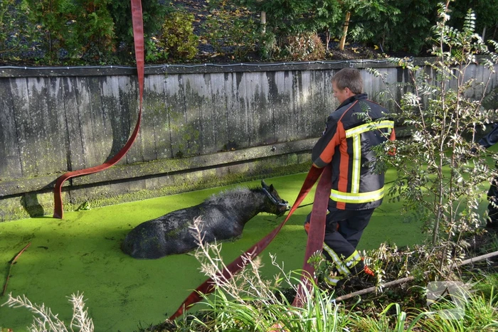 nieuws zijldijk leiderdorp