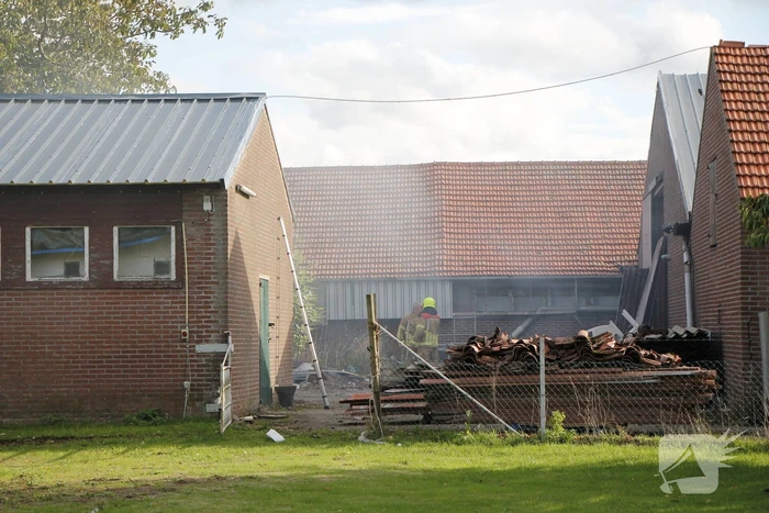 Brand tussen twee stallen geblust met emmers water