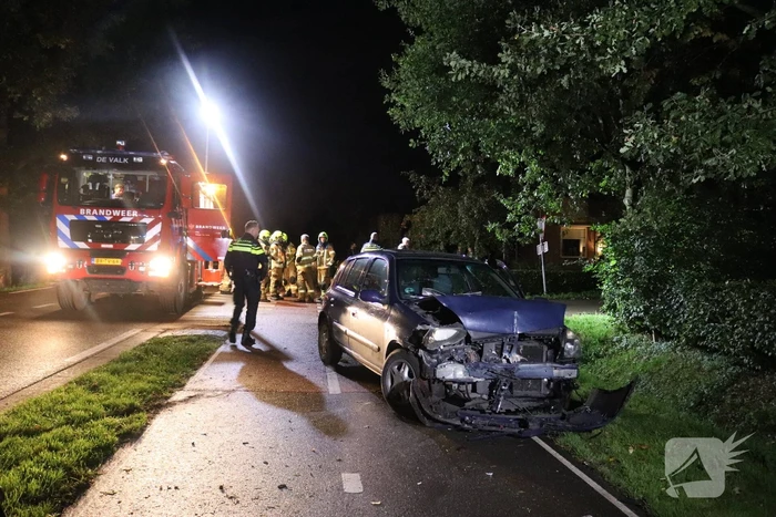 Auto rijdt heg in na botsing