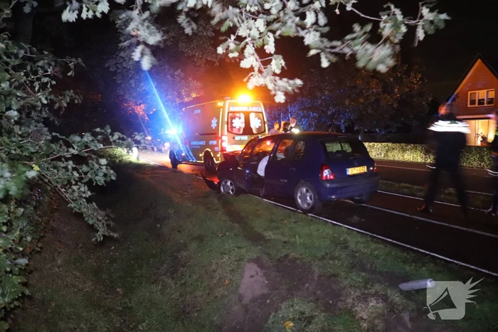 Auto rijdt heg in na botsing