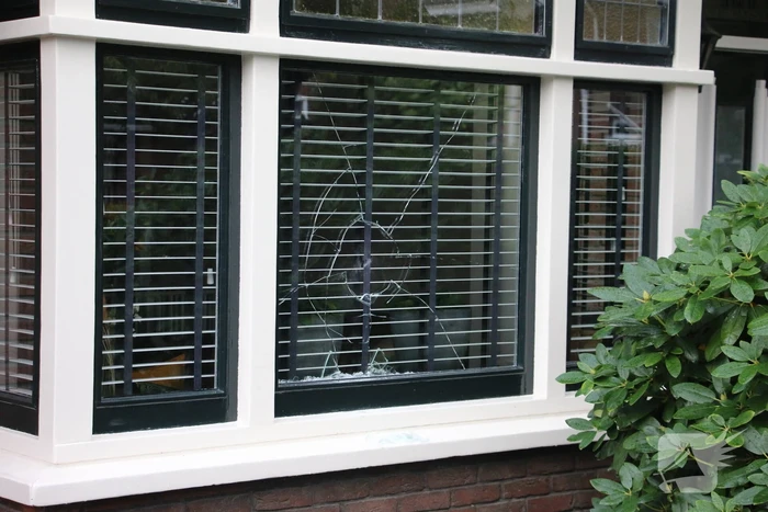 Man met verward gedrag aangehouden na vernielen van ruiten en auto