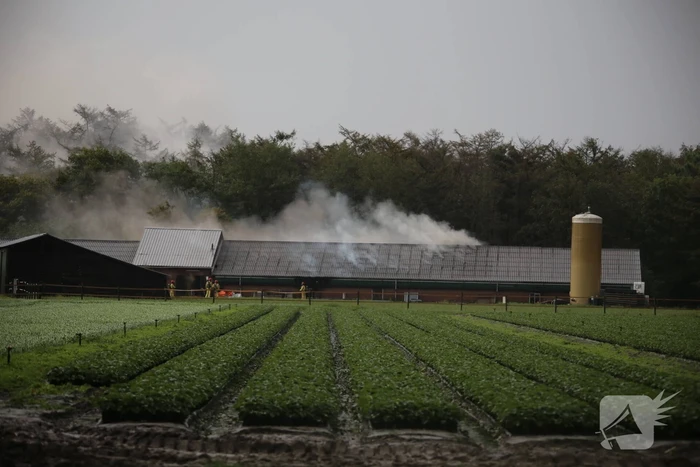 brand vlaamseweg sterksel