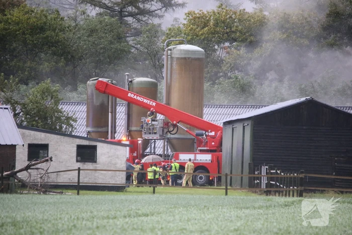 Grote brand in varkensstal gepaard met veel rook