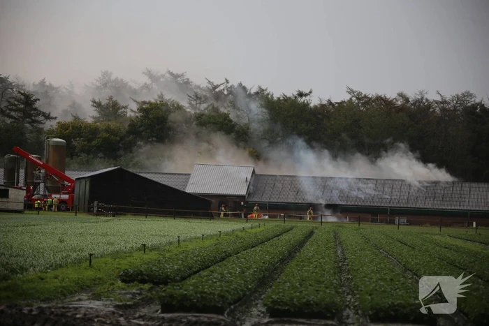 Grote brand in varkensstal gepaard met veel rook