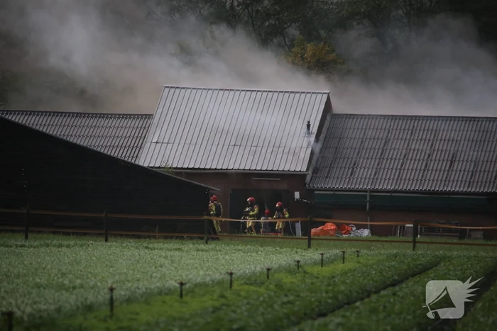 Grote brand in varkensstal gepaard met veel rook