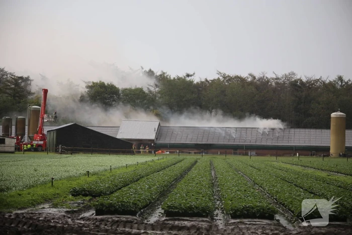 Grote brand in varkensstal gepaard met veel rook