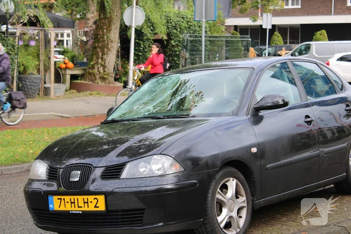 Persoon geschept door personenauto