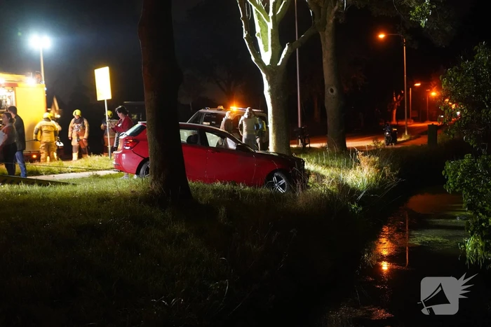 Automobilist verliest macht over het stuur en raakt boom
