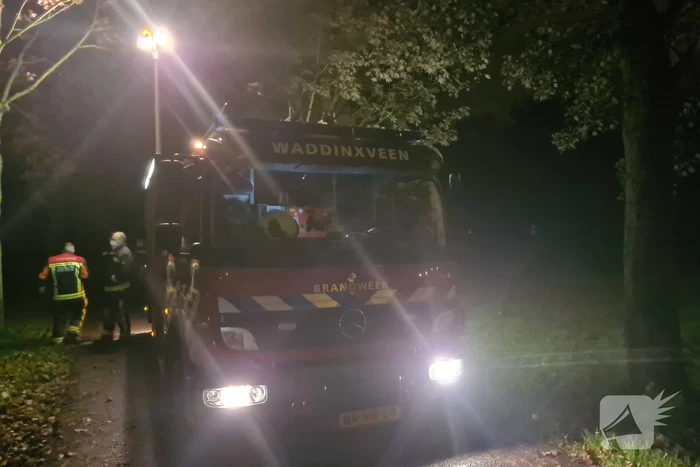 Nachtelijke reddingsactie voor koe te water
