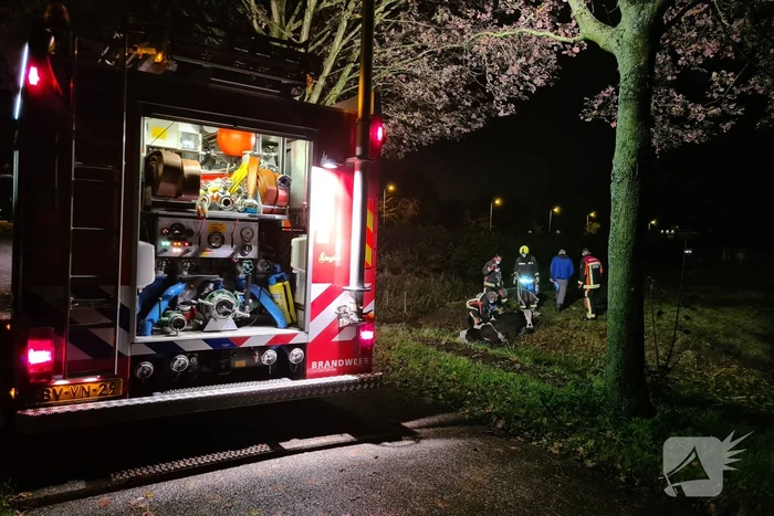 Nachtelijke reddingsactie voor koe te water