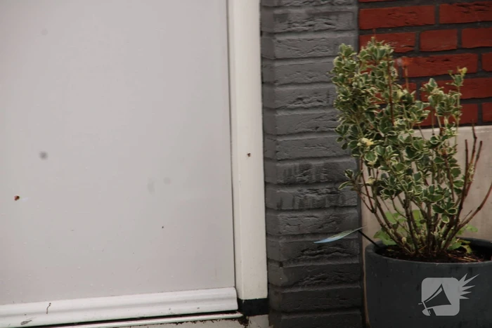 Geschoten op woning in Homeruskwartier