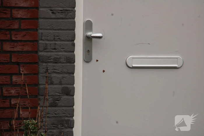 Geschoten op woning in Homeruskwartier