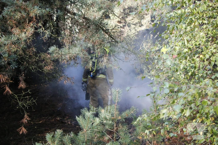 brand trancheeweg weert