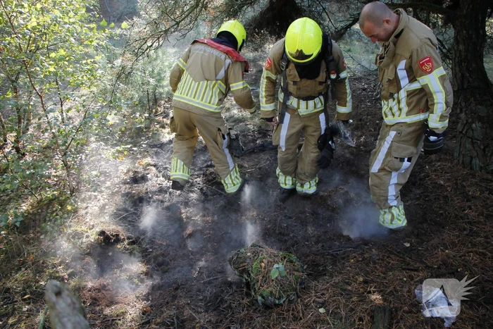 Brand in bosgebied snel geblust