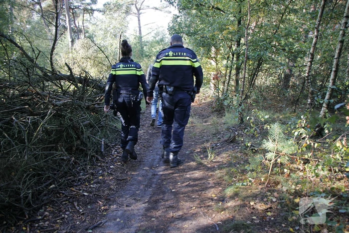 Brand in bosgebied snel geblust