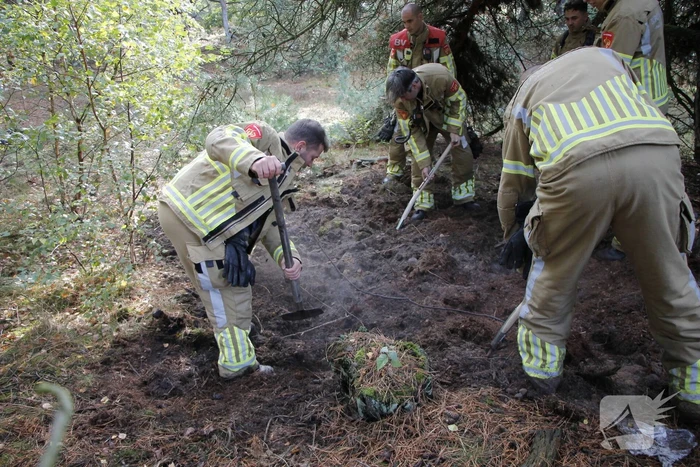 Brand in bosgebied snel geblust