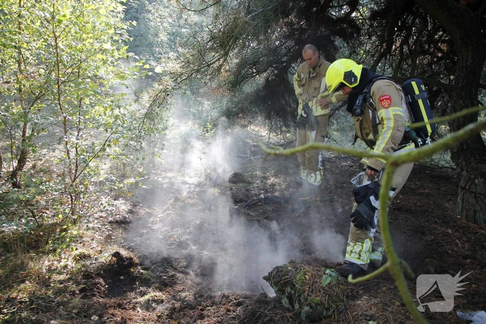 Brand in bosgebied snel geblust