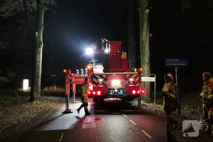 Brandweer verwijdert verrotte boom van de weg
