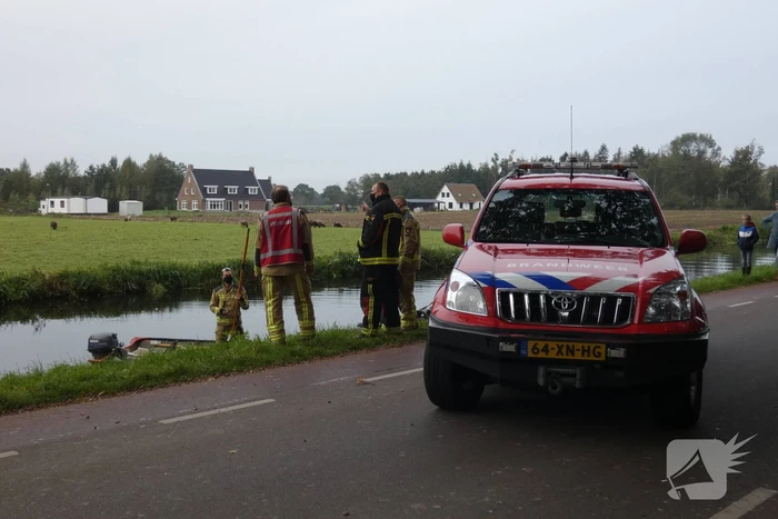 Twee koeien belanden in een sloot