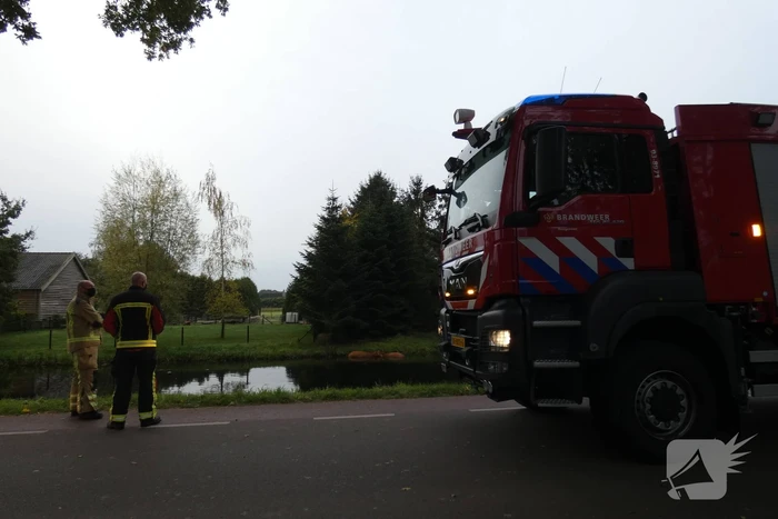 Twee koeien belanden in een sloot