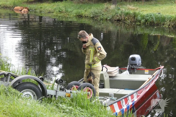 Twee koeien belanden in een sloot