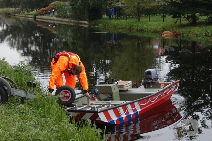 Twee koeien belanden in een sloot