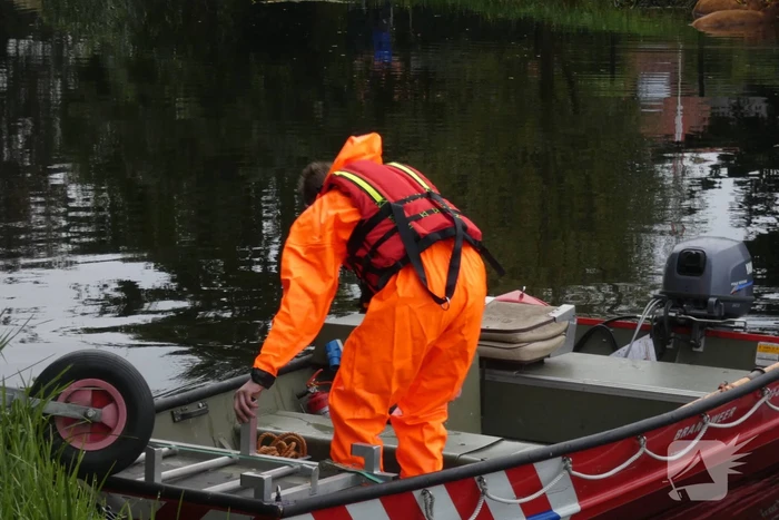 Twee koeien belanden in een sloot