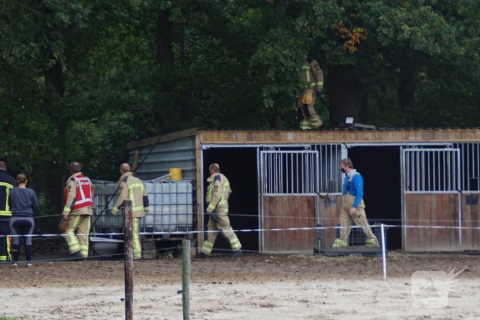 Brandweer spuit koppige kat uit boom