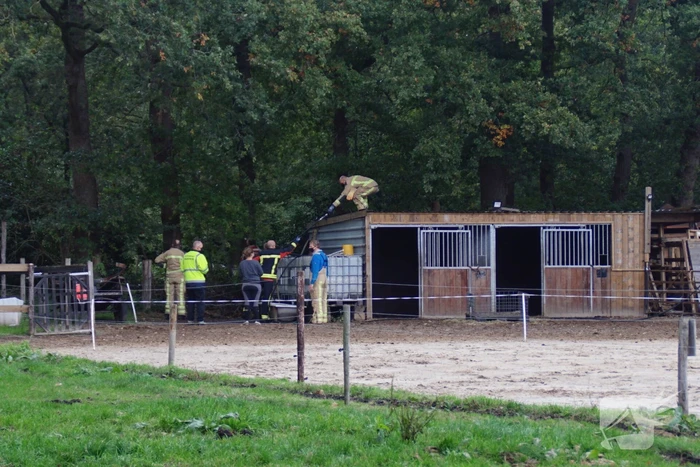 Brandweer spuit koppige kat uit boom