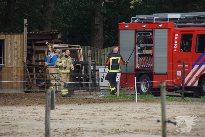 Brandweer spuit koppige kat uit boom