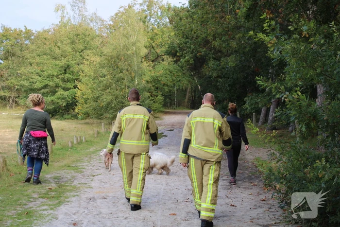 Brand in bos bagelhuiseplas