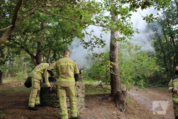 Brand in bos bagelhuiseplas