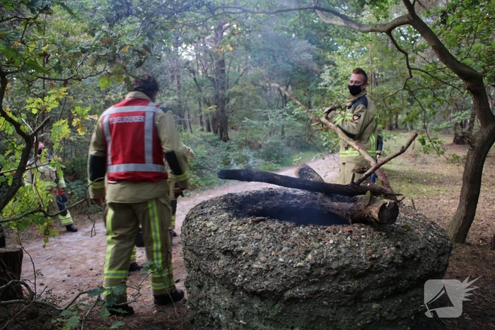 Brand in bos bagelhuiseplas