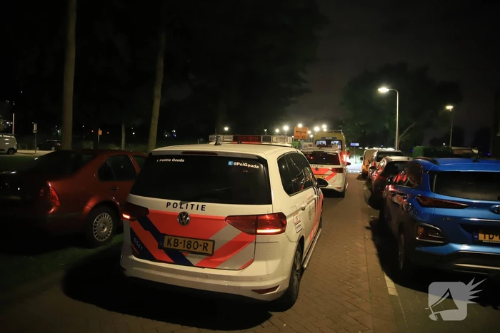 Fietser remt en slaat over de kop