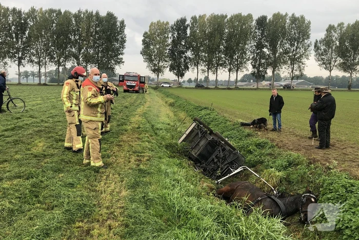 nieuws duin lieshout